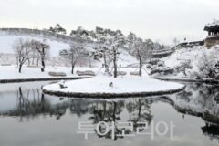 수원 가볼 만한 곳, 호수와 숲길이 감싸는 고요한 겨울 풍경