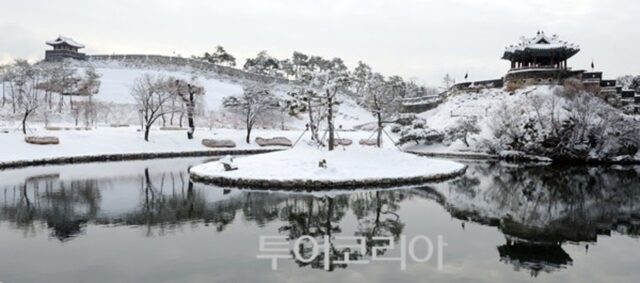 수원 가볼 만한 곳, 호수와 숲길이 감싸는 고요한 겨울 풍경