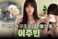 이주빈, 번식장 구조견 임보 일상 공개…“잠이라도 편히 잤으면” 눈물