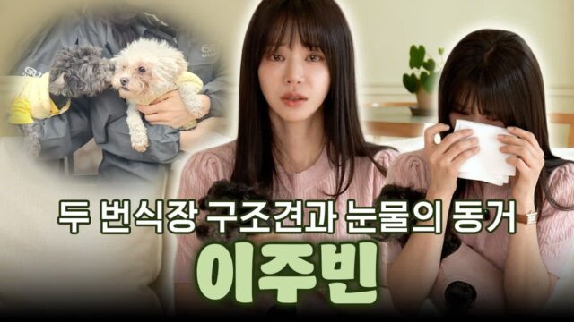 이주빈, 번식장 구조견 임보 일상 공개…“잠이라도 편히 잤으면” 눈물