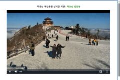 덕유산 CCTV로 실시간 눈꽃 확인 + 곤돌라 제대로 타는 꿀팁