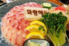 계절의 맛을 가장 신선하게 즐길 수 있는 탄탄한 기본의 제철 회 맛집 5곳