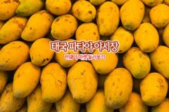 태국 파타야 야시장 런웨이 마켓 둘러보기