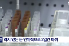 놀라운 MIT 연구팀이 밝혀낸 성인 약시 치료 결과