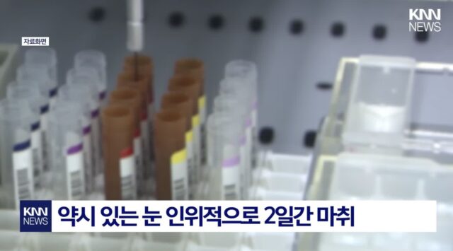 놀라운 MIT 연구팀이 밝혀낸 성인 약시 치료 결과