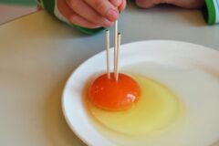 아침에 ‘들기름’은 이렇게 먹어야 치매 예방 효과가 5배 뜁니다. 의사들이 하는 섭취법