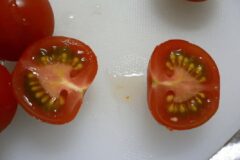 토마토 먹을 때 “이 음식”을 올려보세요, 이 조합은 셰프들도 몰랐습니다.