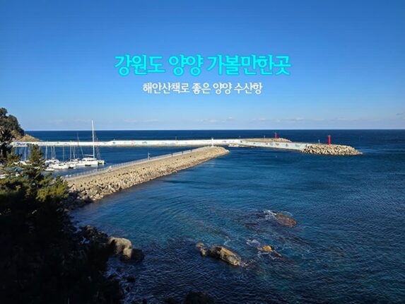 강원도 양양 가볼만한곳 해안산책로 좋은 양양 수산항