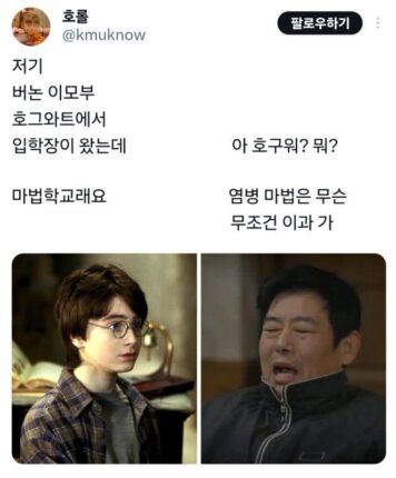 해리포터 이모부가 성동일이었다면