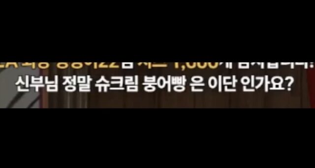 한국 첫 천주교 버튜버 신부님