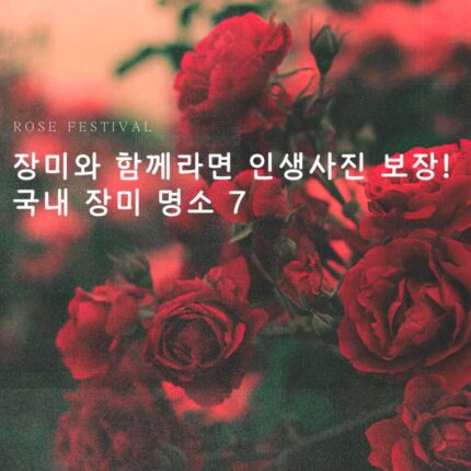 5월 6월 국내여행지 추천 장미 명소 가볼만한곳 TOP7