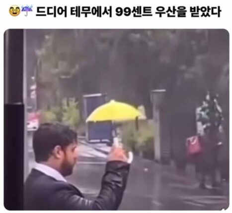 테무에서 콧털제거기 사지 마라