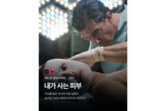 괴상하고 기괴한 사랑영화 모음