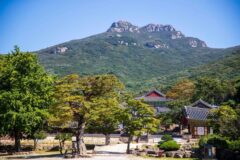 “산악회 트레킹 필수코스?” 해남 땅끝 마을 가볼만한 곳 대흥사