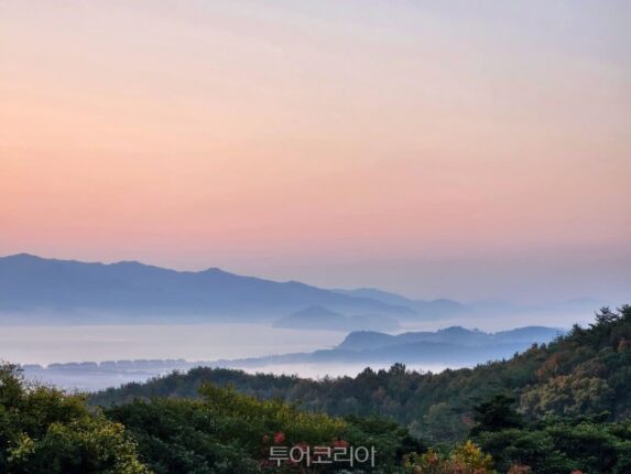 겨울에 가볼 만한 곳, 강진에서 만나는 역사와 자연