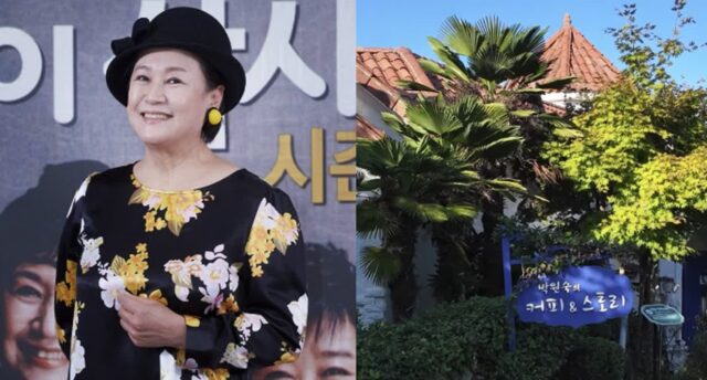 하루 매출 540만 원? 돌연 방송 하차하더니 남해 카페서 일 낸 배우