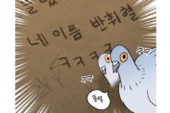 [성찬얼의 만화책] 하루아침에 비둘기가 된 내가 동창과의 동거를 하게 됐다고?! 「성북구 비둘기 이헌서」