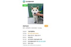 스스로 시청 당직실에 찾아 들어온 유기견