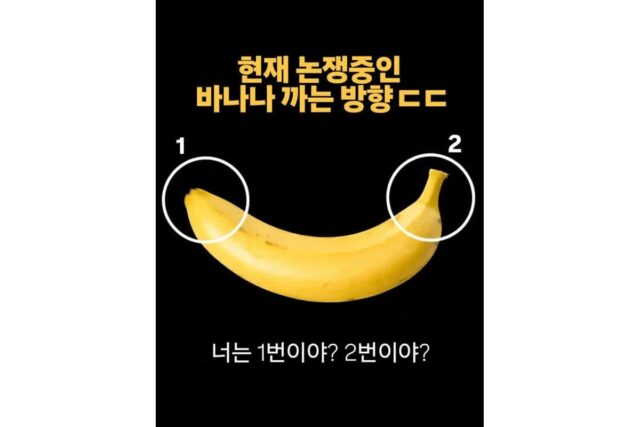 현재 논쟁중인 바나나 까는 방향.jpg