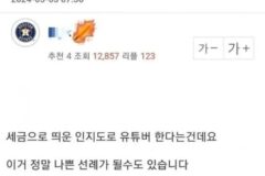 충주맨 퇴사 후 유튜버 활동 막아야 된다는 사람.jpg
