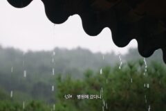 선재스님이 흑백요리사 나올 수 있었던 이유