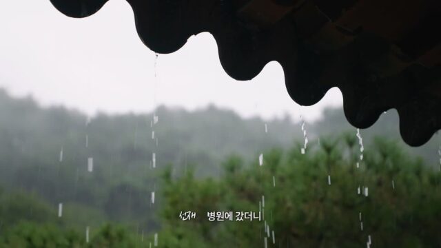 선재스님이 흑백요리사 나올 수 있었던 이유