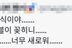 2026년 버전 어르신 판독기