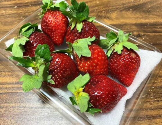 50대 이후 “이 과일” 매일 섭취하면 혈압 좋아지고 치매예방까지 됩니다.
