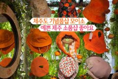 제주도 기념품샵 모이소 예쁜 제주 소품샵 좋아요