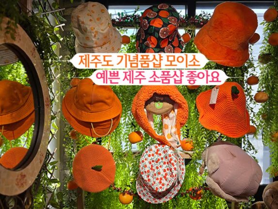 제주도 기념품샵 모이소 예쁜 제주 소품샵 좋아요