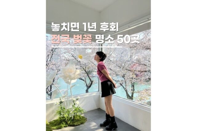 이번 봄 드라이브 국내여행 꼭 가야 하는 국내벚꽃명소 50