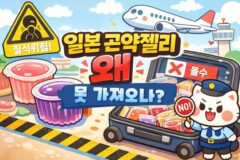“일본 가면 꼭 사오던 그 젤리” 일본 곤약 젤리, 왜 들여오면 안 될까
