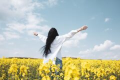 제주도 유채꽃, 2~3월 한정 노란 파도 따라가는 명소 투어