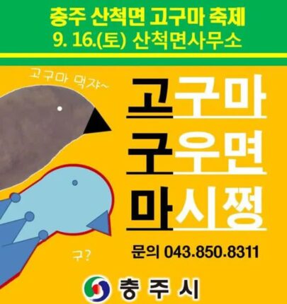 김선태 이전에 있었던 1대 충주맨 