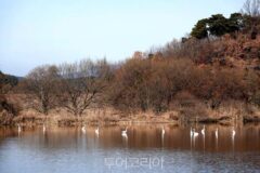 겨울 끝자락, 조용히 쉬고 싶다면… 창녕여행 어때?