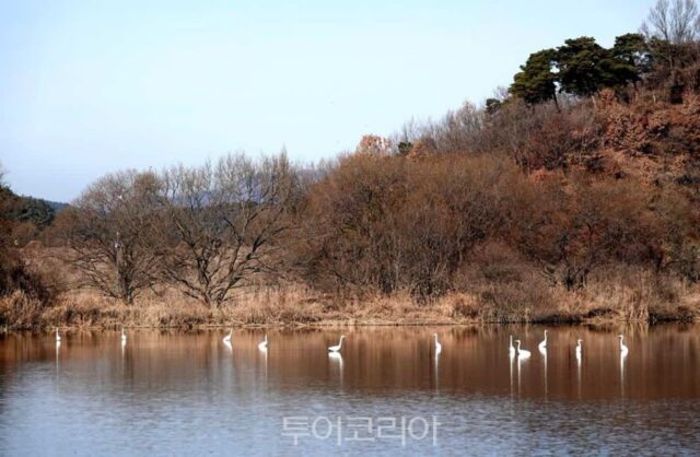 겨울 끝자락, 조용히 쉬고 싶다면… 창녕여행 어때?