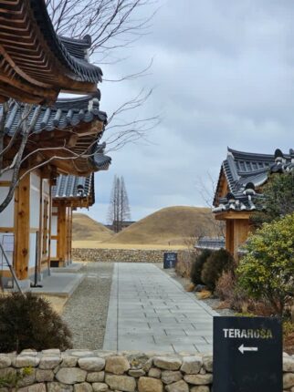 경주 황리단길 한옥 카페 운치 있는 테라로사 커피