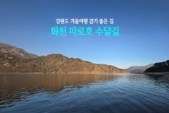 강원도 겨울여행 걷기 좋은 길 화천 파로호 수달길