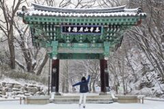 천안 광덕사, 400년된 최고령 호두나무가 살아있는 천안 여행지 추천