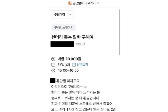 흰머리 뽑는 알바 채용 후기
