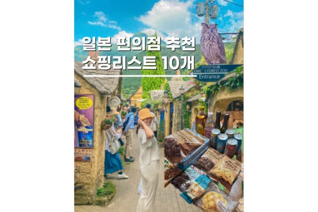 일본편의점추천 도쿄 오키나와 쇼핑리스트 기념품 9개