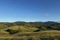서산 한우목장 웰빙산책로에 벚꽃도 핀다! 충남 알프스에서 가벼운 산책 일정코스 추천