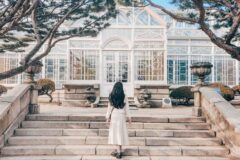 창경궁 코스, 알고 가면 더 예쁜 봄꽃 여행지 추천 숨어 있는 포인트 4