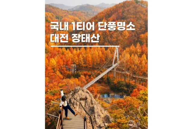 대전 장태산 자연휴양림 등산코스 소요시간 단풍명소 산책