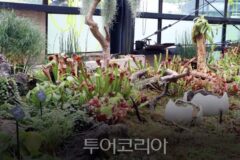 서울대공원 식물원, ‘MBTI 식물 투어‘ 색다른 재미 선사