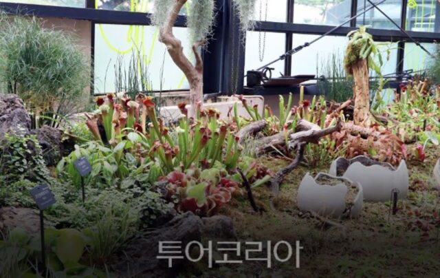 서울대공원 식물원, ‘MBTI 식물 투어‘ 색다른 재미 선사