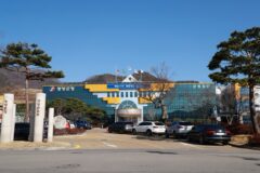 “기차타고 영양 자작나무 숲으로”…영양군, 산림관광 상품 추진