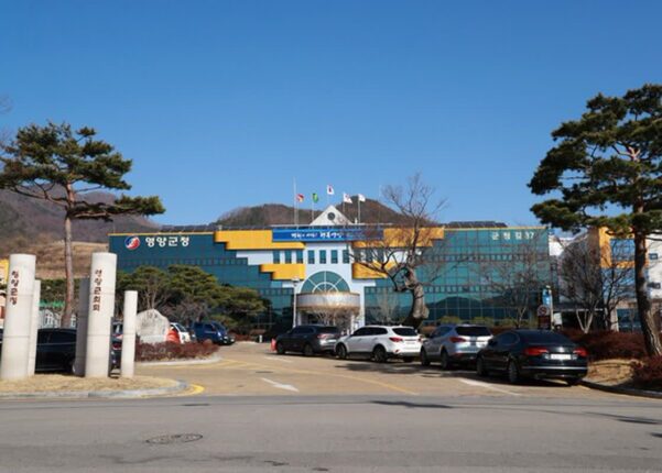 “기차타고 영양 자작나무 숲으로”…영양군, 산림관광 상품 추진