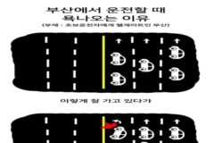 부산운전 짜증난다는 이유 중 하나