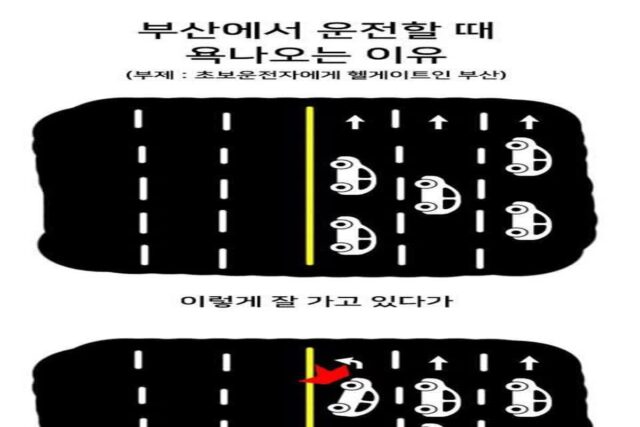 부산운전 짜증난다는 이유 중 하나